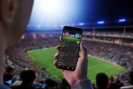 The Future of Sports Betting Discovering Activ Bet